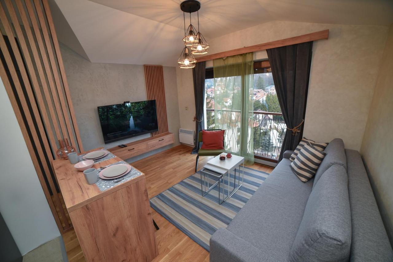 Aria Club Wellness&Spa Zlatibor Buitenkant foto